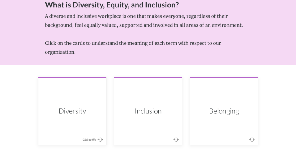 A screenshot showing my Diversity, Equity, & Inclusion portfolio piece.